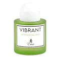 Vibrant Vetiver Delight Emir EDP Perfume || Paris Corner