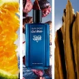 Davidoff Cool Water Street Fighter EDT for Men – Woody Aromatic Summer Edition