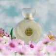 Musk & Roses EDP Perfume  | Ahmed Al Maghribi