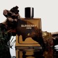 Burberry Hero Eau De Parfum for Men 100 ML
