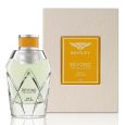 Bentley Beyond The Collection Wild Vetiver EDP for Unisex 100ML