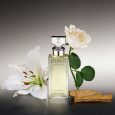 Calvin Klien Eternity Eau De Toilette for Men 100 ML